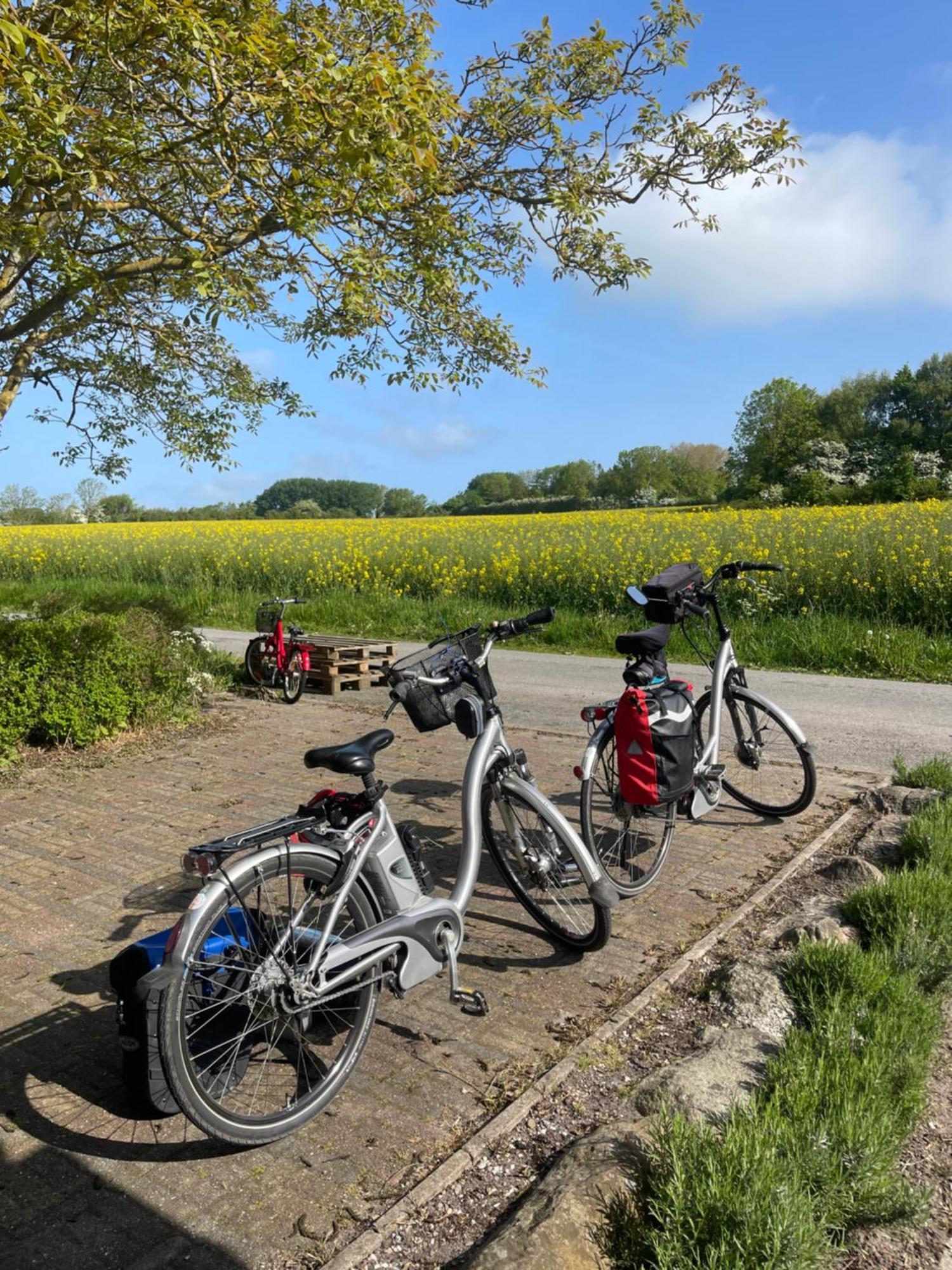 Blackberryhouse Ærøskøbing 外观 照片