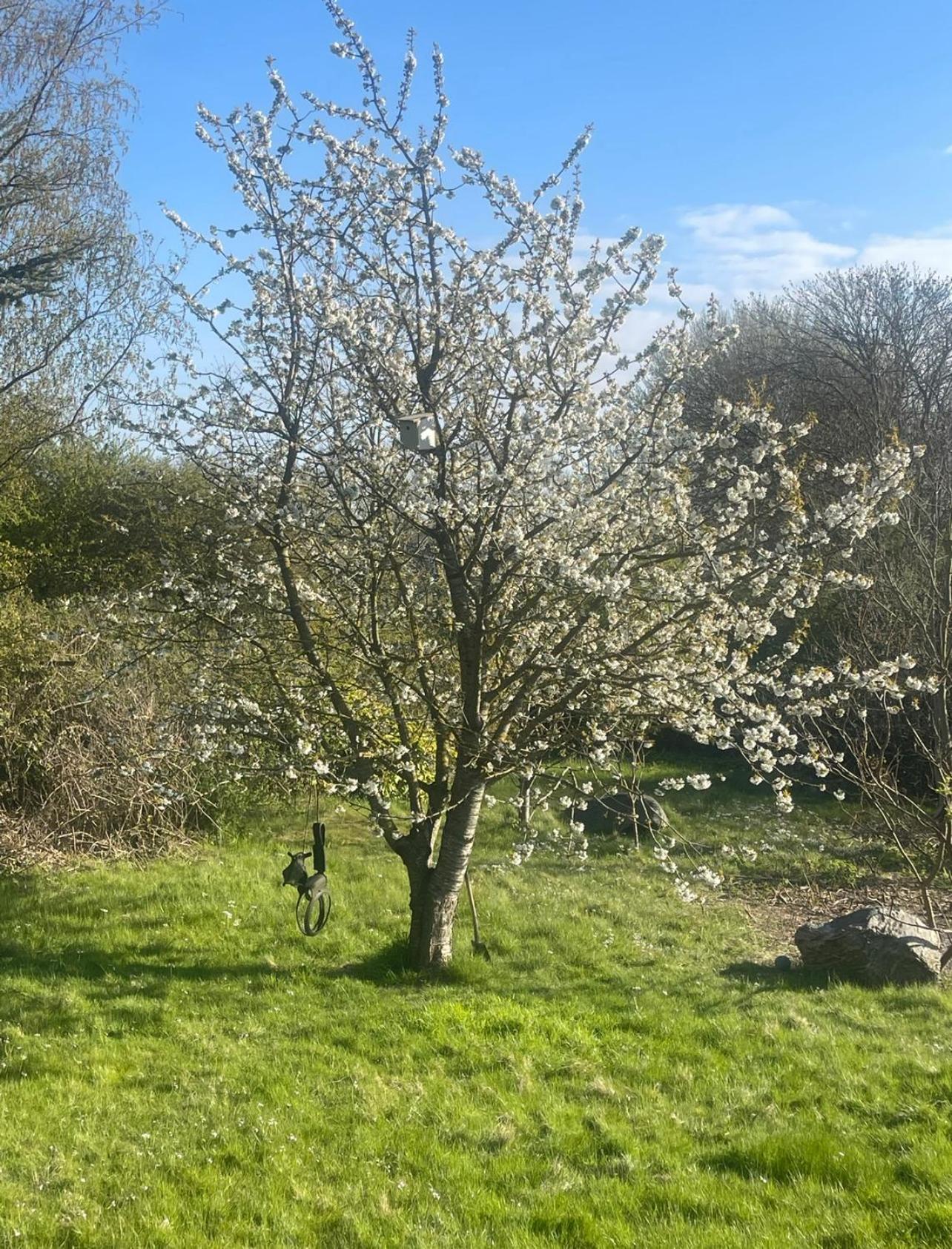 Blackberryhouse Ærøskøbing 外观 照片