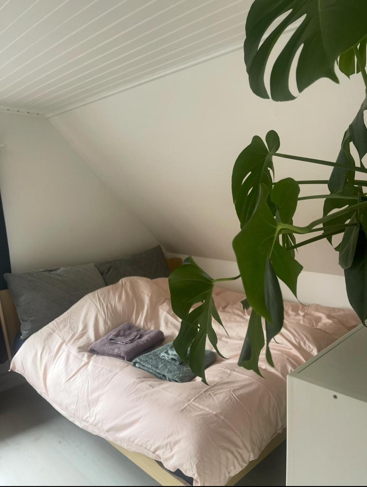 Blackberryhouse Ærøskøbing 外观 照片